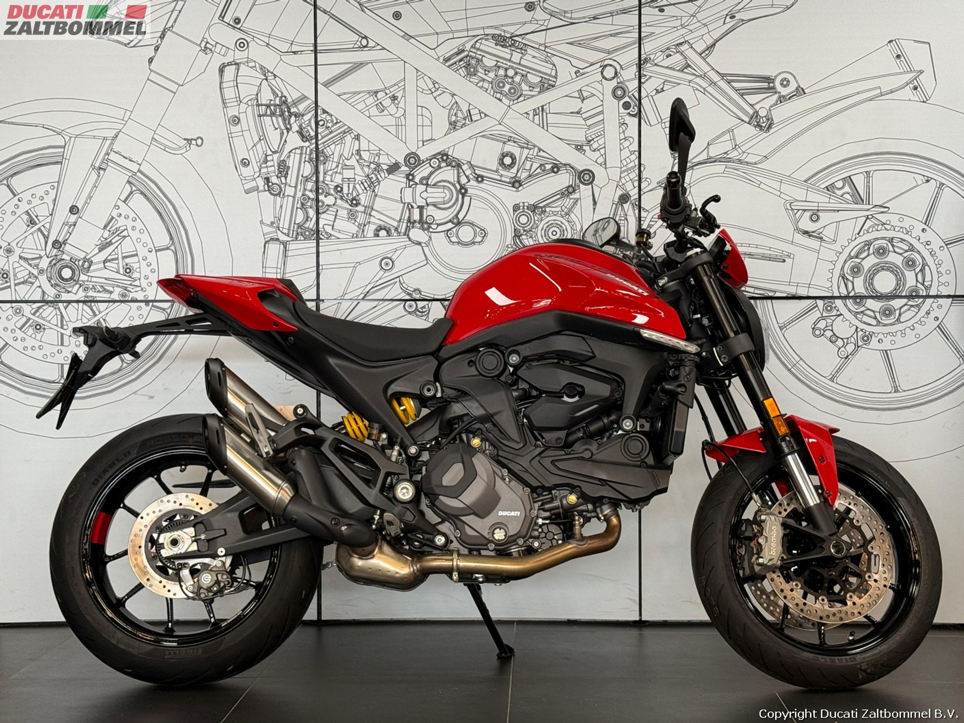 Ducati MONSTER