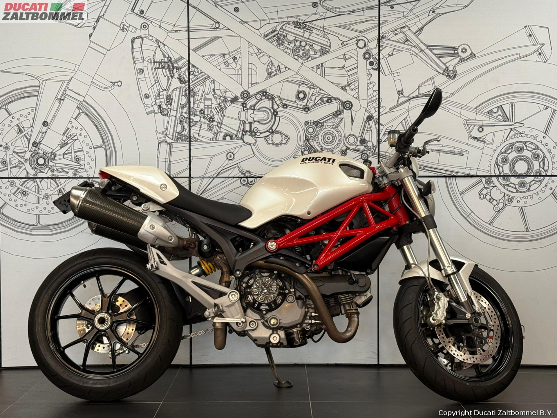 Ducati MONSTER 1100