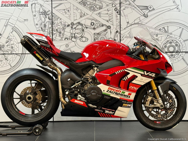 Ducati PANIGALE V4 S CIRCUIT